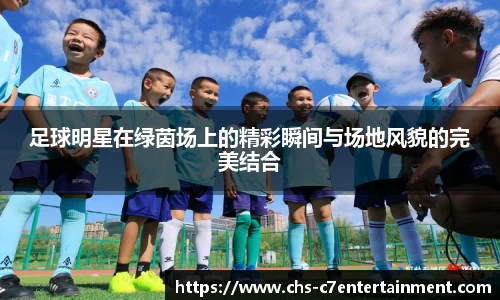 足球明星在绿茵场上的精彩瞬间与场地风貌的完美结合
